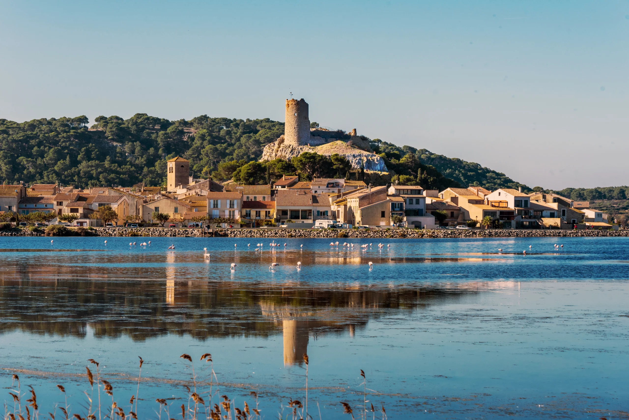 AdobeStock_273313311-copie gestion locative saisonnière Gruissan Gala Immobilier